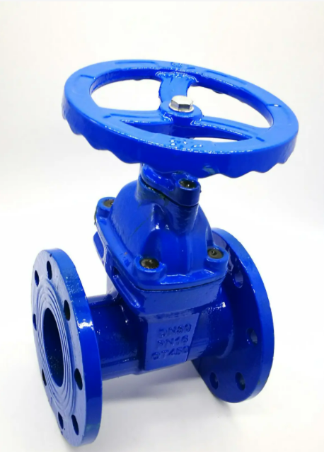 给大家讲一下什么是弹性座封闸阀？